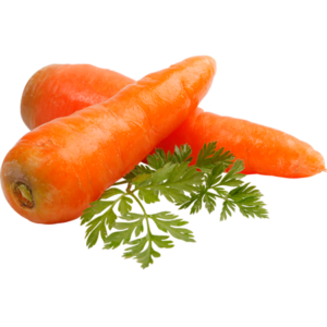 Organic Carrot